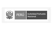 apn